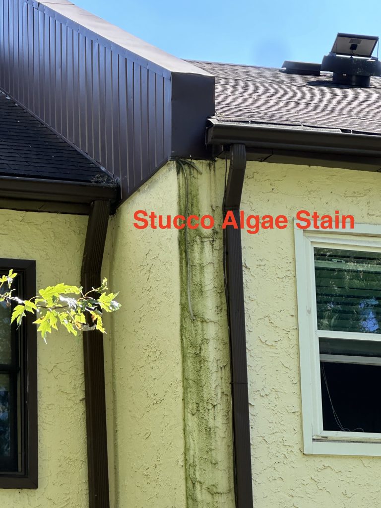 Stucco Algae Stain