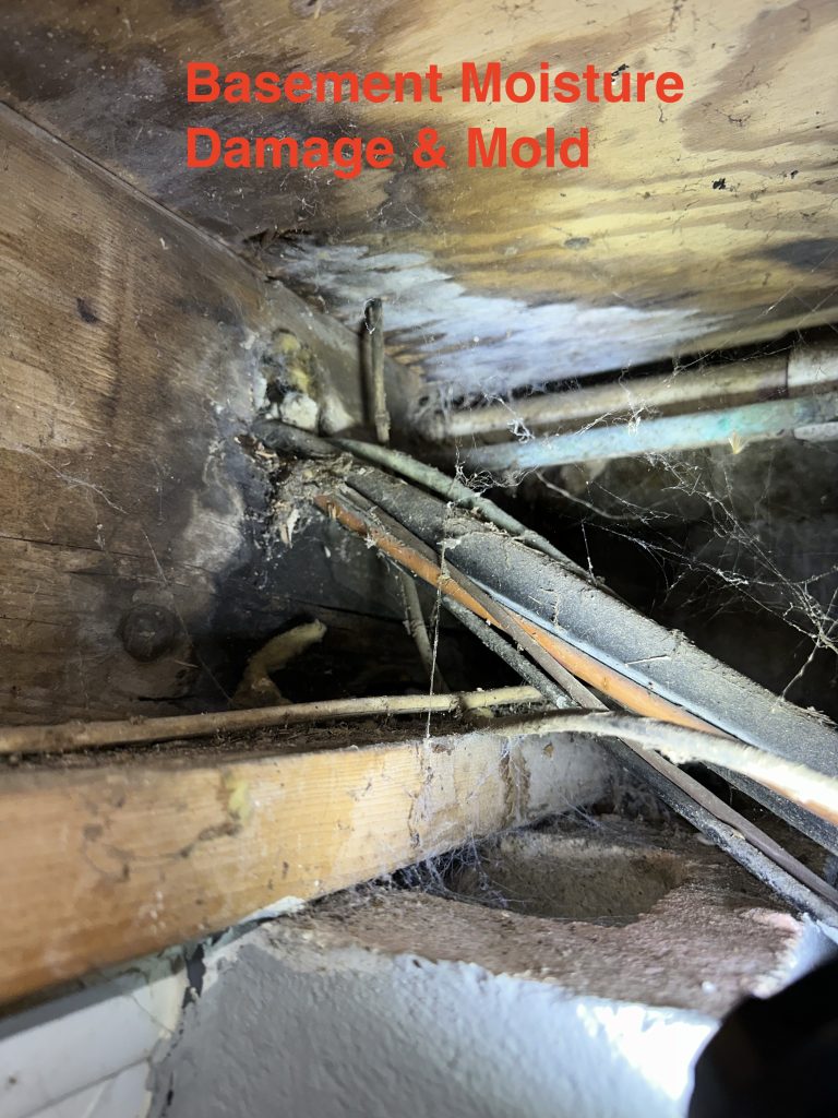 Basement moisture damage